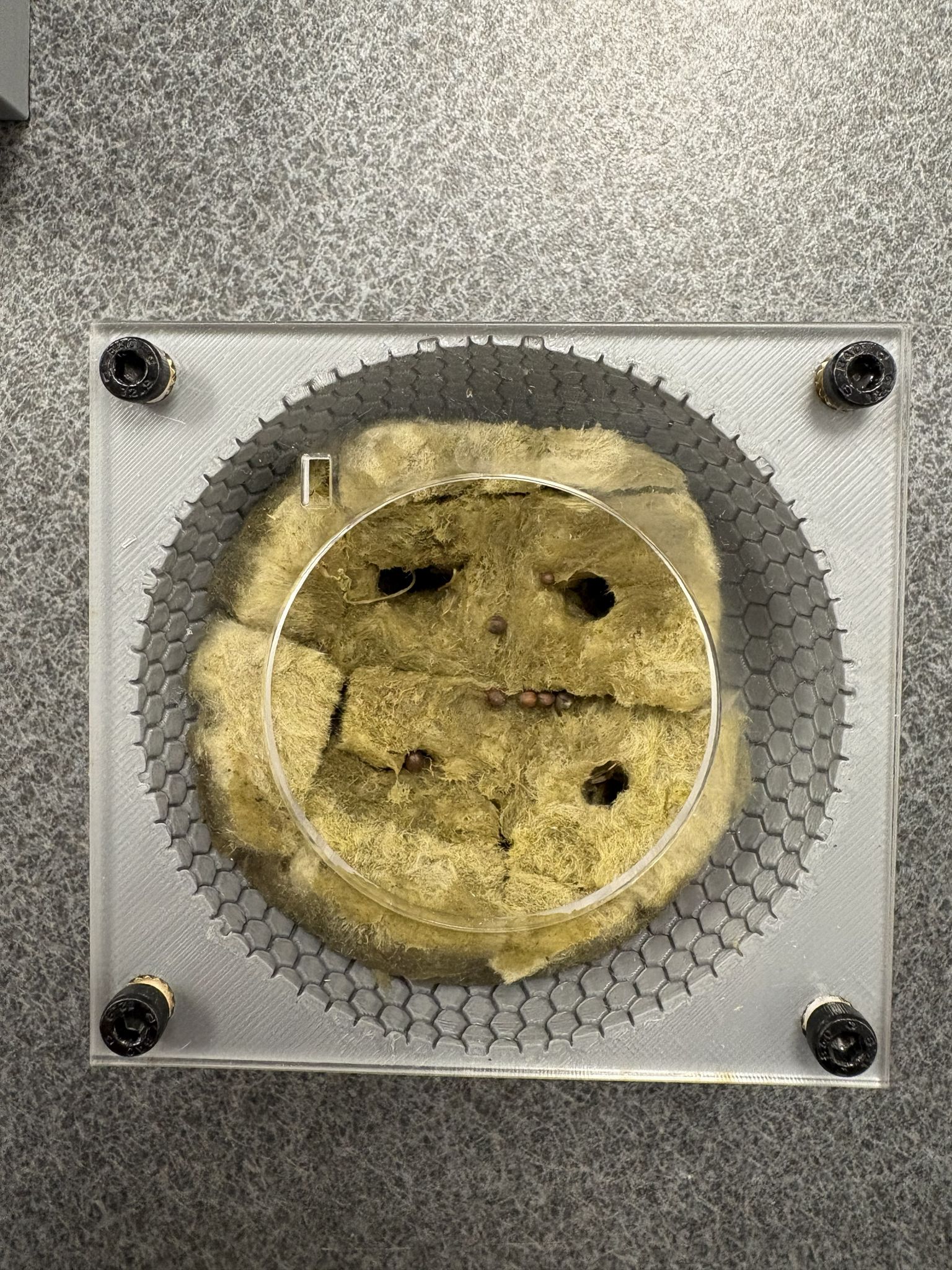 Rockwool Substrate Cover