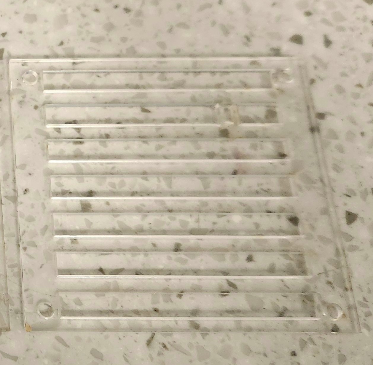 Clay pebble cover — physical model