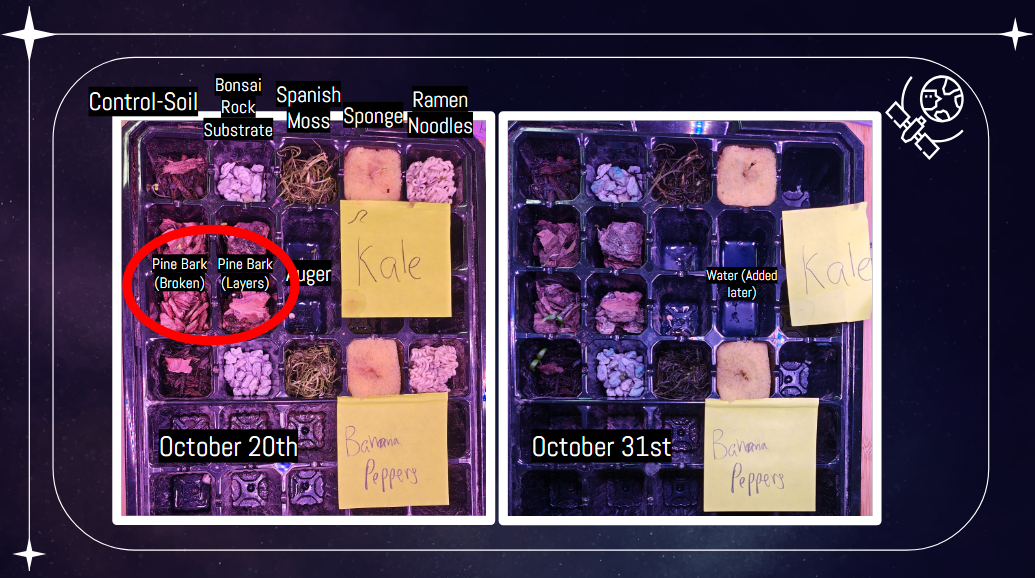 October substrate test trays, October 20th and October 31st